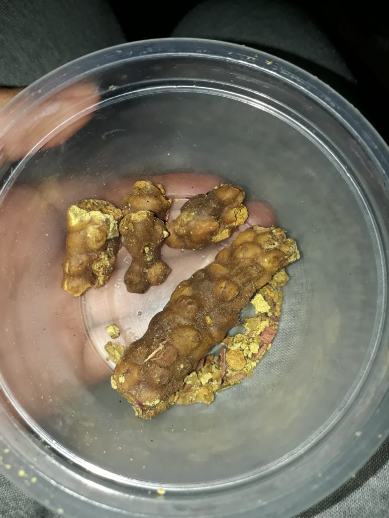 Sera de Abelha-Rajadinha utilizada na medicina popular